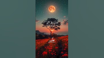 القارئ : بدر التركي ❤                                       #quran #بدر_التركي