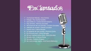 No More Lonely Nights