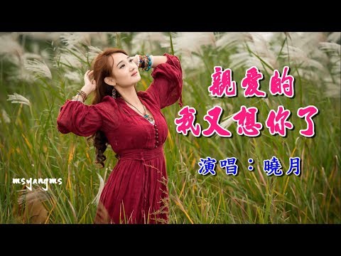 亲爱的我又想你了 (《亲爱的我又想你了》) - 晓月 