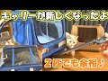 新しいキャリーは猫２匹でも余裕だぜ♪　The new carry can afford even two cats ♪