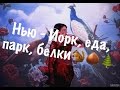 Нью-Йорк, еда ,парк ,белки