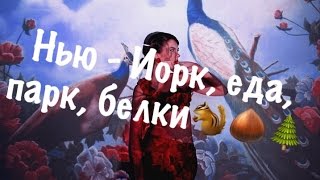 Нью-Йорк, еда ,парк ,белки