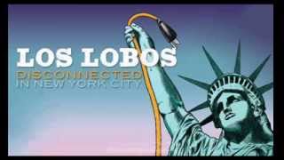 Los Lobos - Bertha [Live] chords