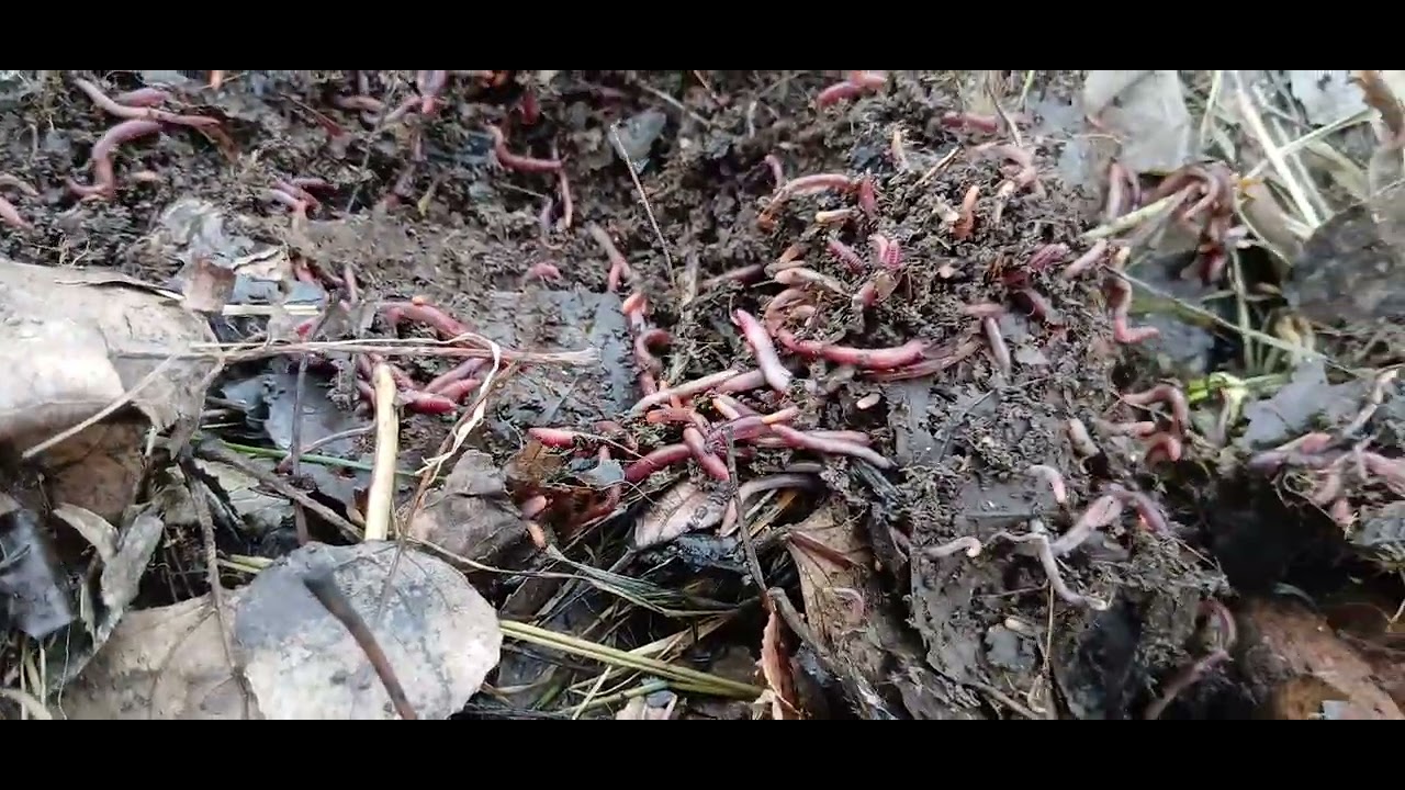 Chuvalchanglar sotuvi 771007484.