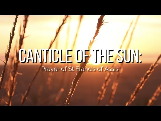 Canticle of the Sun lyrics - Marty Haugen