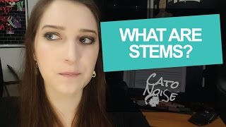 Audio Engineering Basics: What Are Stems