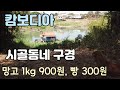 [캄보디아] 시골동네 구경 | 망고1kg 900원, 빵 300원 | " 시원한게 너무 좋다"