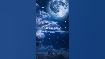 سورة الفجر #اكسبلور #quraniclife #duet #quranismylife