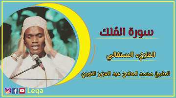 الشيخ محمد الهادي عبدالعزيز التوري. سورة الملك كاملة