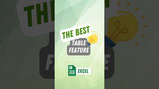 One of the Most Useful Excel Table Features