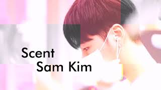 SAM KIM (샘김) - SCENT (향기) //Lyrics (가사)