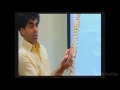Transpedicular Instrumentation of Thoracolumbar Spine