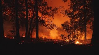 California Wildfire: Mosquito Fire update for Placer, El Dorado counties - Sept. 7 Mosquito Fire El Dorado County Reveals Destroyed Homes On Interactive Map