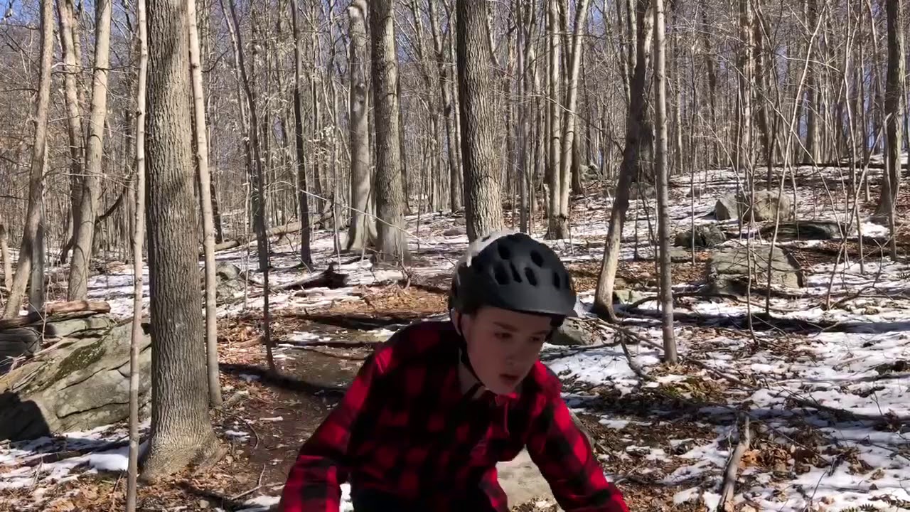 black forest mountain biking