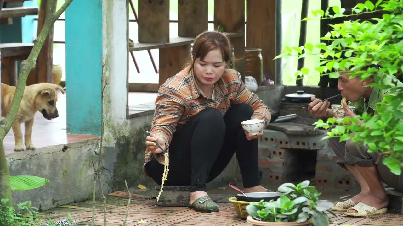 Timelapse: Colheita 1000 melancias – Pitão gigante invade casa e causa pânico! 🐍💥
