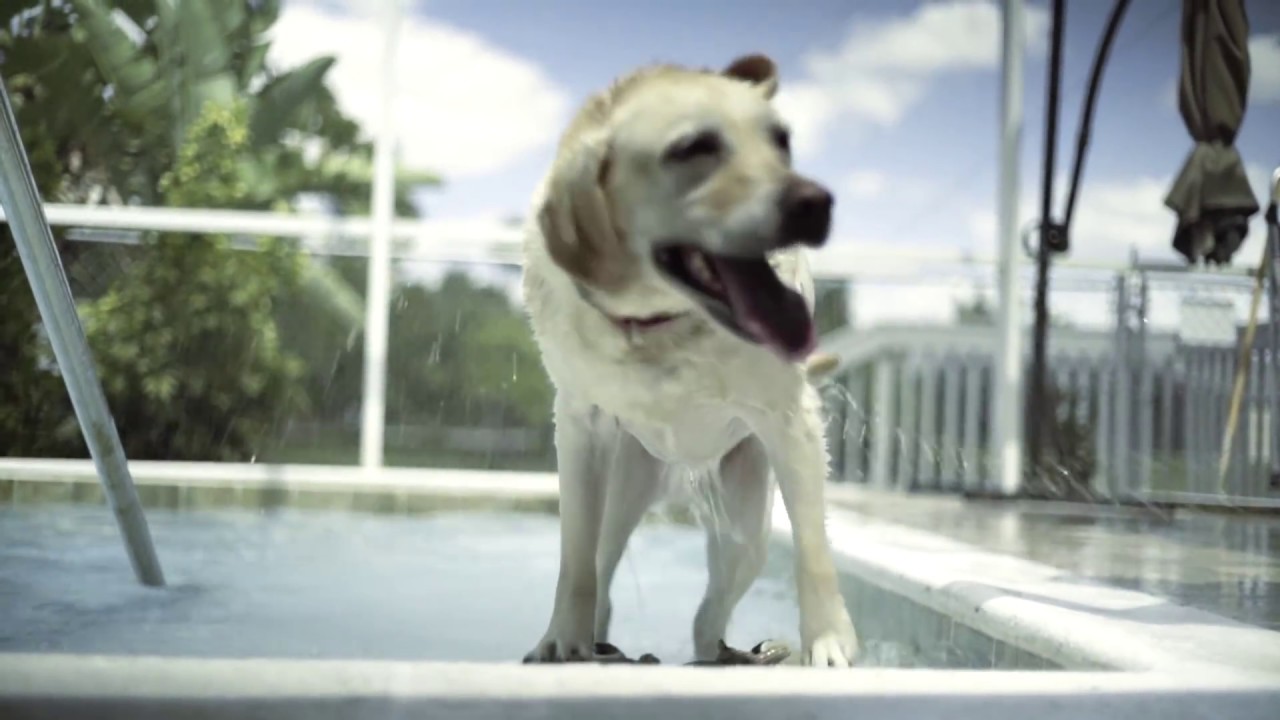 Banking for Business | Achieva My GOOD Reason TV Commercial