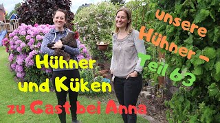 unsere Hühner Teil 63: zu Gast bei Anna und ihren Hühnern und Küken in Nds