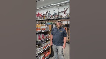 Fungus Treatment Options