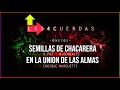 SEMILLAS DE CHACARERA / EN LA UNION DE LAS ALMAS - LAS 4 CUERDAS - UNICOS