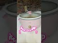 Pink Paris Hilton Slow Cooker Review 💕 6-Quart Must-Have Kitchen Find