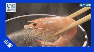 富士の海老 海と日本project In やまなし