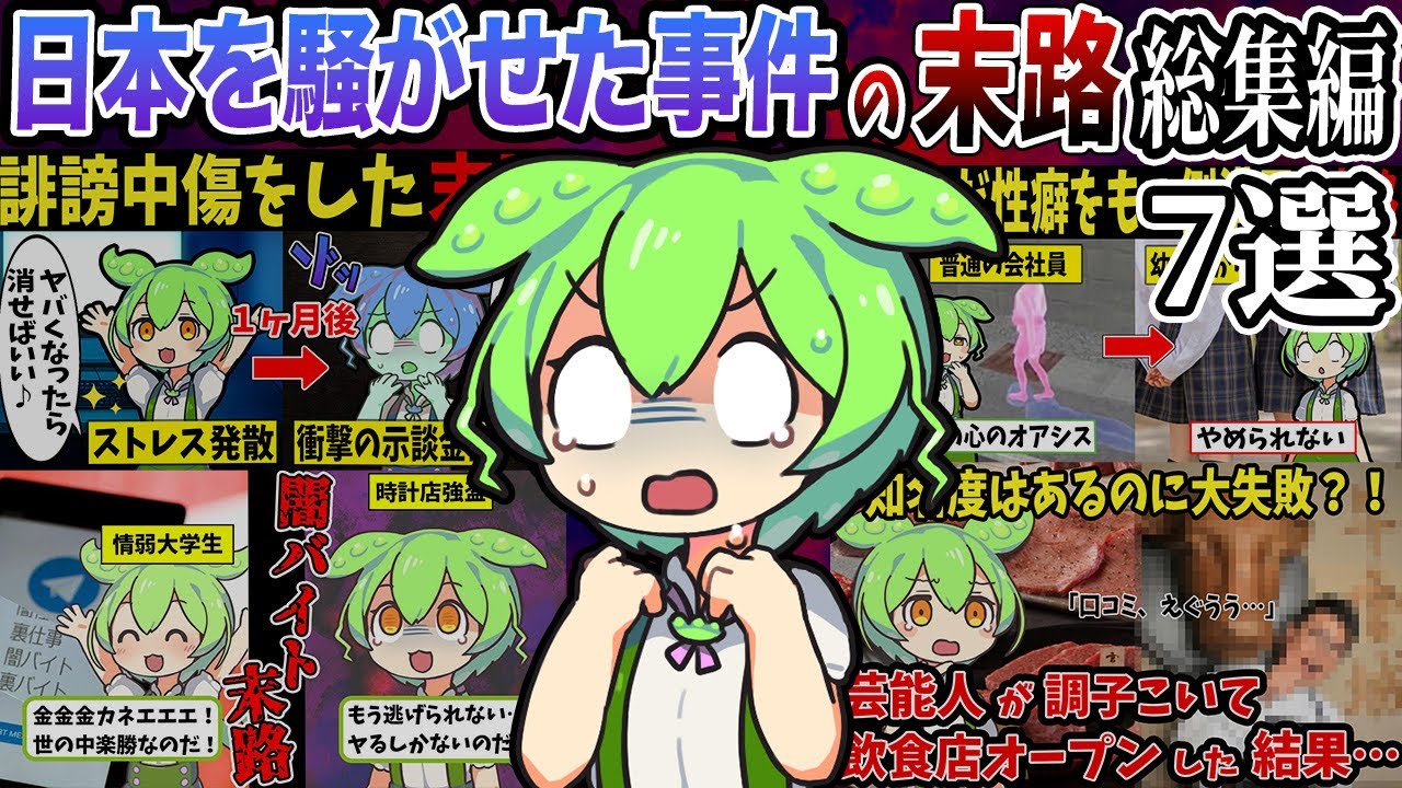 【総集編】日本を騒がせた事件を起こしたずんだもんの悲惨な末路7選【作業用】【睡眠用】【ずんだもん闇解説】