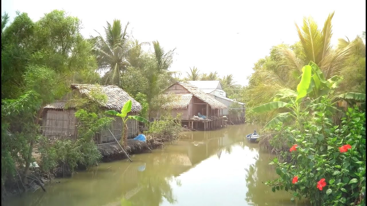 Morning Zen Meditation Music | Bamboo Flute & Birds for Peaceful Awakening
