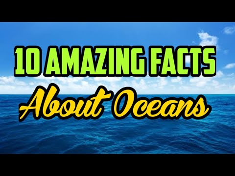 10 Amazing Facts About Oceans - YouTube