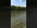 fishing1 fishing#fishing
