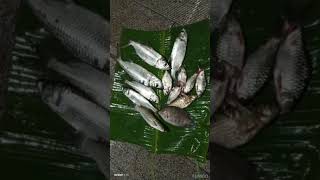malayalanadu#youtubevideo