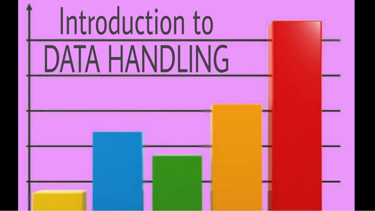 an essay on data handling