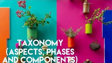 Taxonomy (aspects, phases and components)