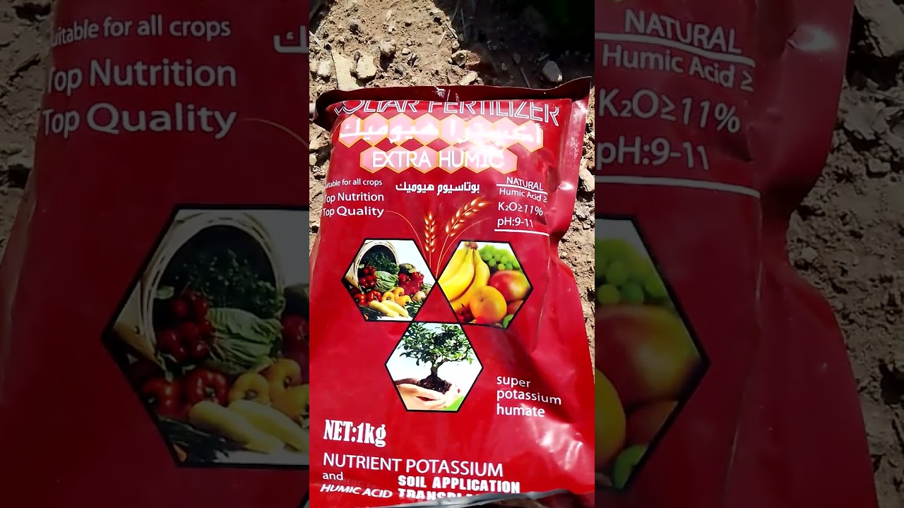 اسهل طريقة للتخلص من ملوحة التربة بدون غسيل