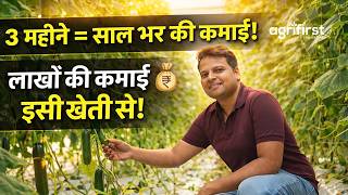 Divyanshu Singh Polyhouse Success Story | 60 Tons Cucumber in 2.5 Months | Agrifirst India