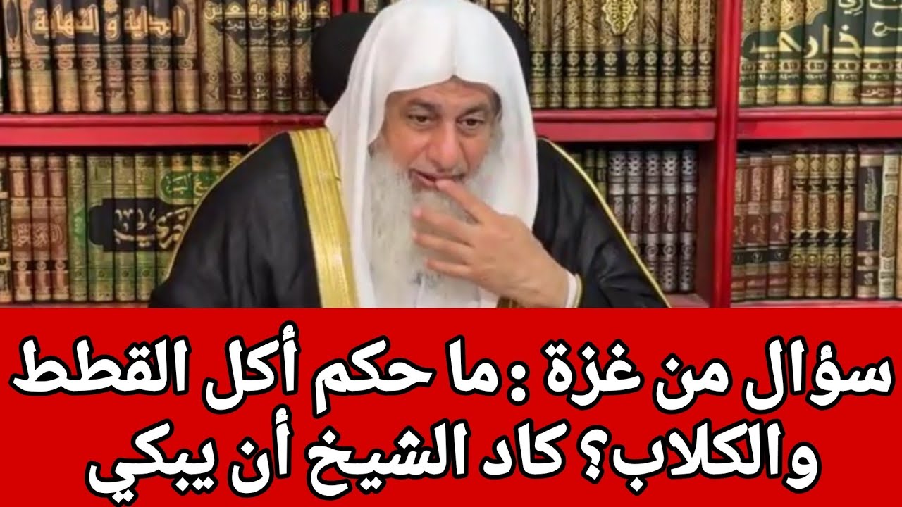ما حكم أكل القطط والكلاب؟ كاد الشيخ أن يبكي..الشيخ مصطفى العدوي