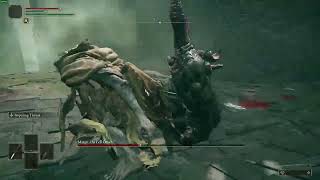 Margit, the Fell Omen RL1 +0 Weapons No Roll/Jump/Block/Parry (SOLO, NO DAMAGE)