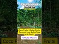 Agricultural land for sale in Mysore #landandhouseforsale#mysore #realestateagent #openplots#viral