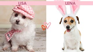 Lisa Or Lena Dogs Edition