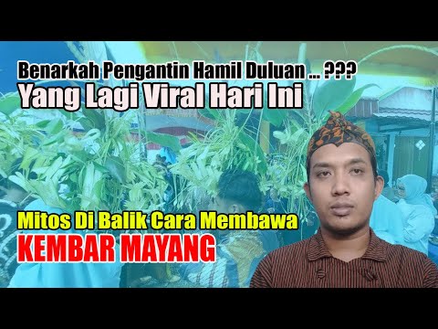 Video: Apakah yang dimaksudkan separa berkembar?