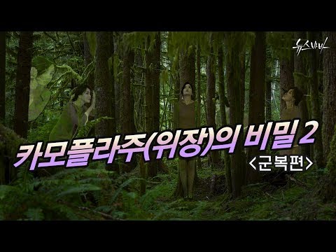 [軍모니 INSIDE] 카모플라주(위장)의 비밀 2 ’군복편‘