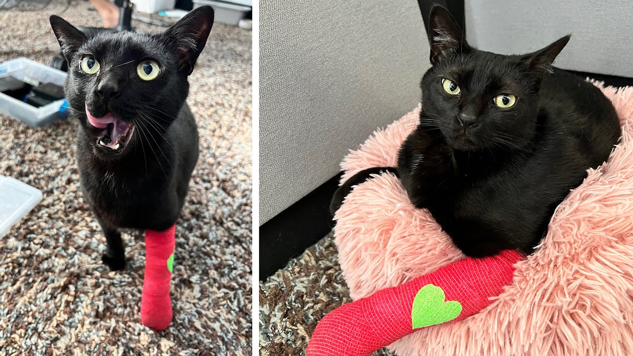 somebody had an accident...