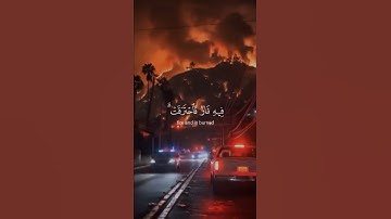 "فأصابها إعصار فيه نار فاحترقت | تلاوة مهيبة بصوت الشيخ عبد الرحمن مسعد"