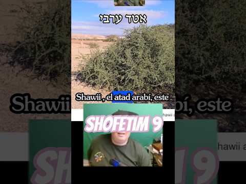 #929  #tanaj  #shofetim #jueces 09: las espinas de la realidad