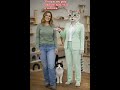 “Por que seu gato sobe em tudo? Não é teimosia.”#pets #viral #cat #shorts