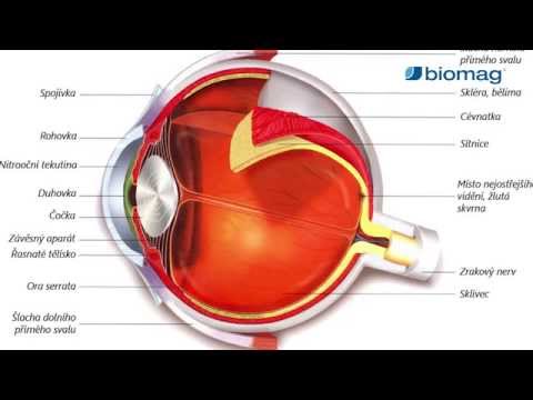 Video: Liečba Atrofie Zrakového Nervu ľudovými Prostriedkami A Metódami