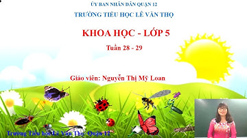 Trường Tiểu học Lê Văn Thọ - Khoa học Lớp 5 - Tuần 28,29 - Cô Nguyễn Thị Mỹ Loan
