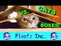The Funniest Cats vs  Boxes!
