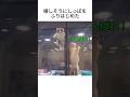 猫と犬の夢が叶った瞬間　#動物雑学 #ねこのきもち #いぬのきもち