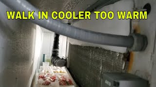 walk in cooler too warm