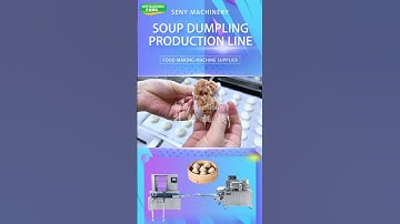 Seny Soup Dumpling Machine
